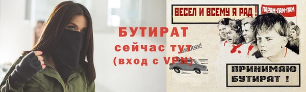 сатива Горнозаводск