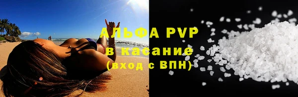 сатива Горнозаводск