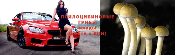сатива Горнозаводск