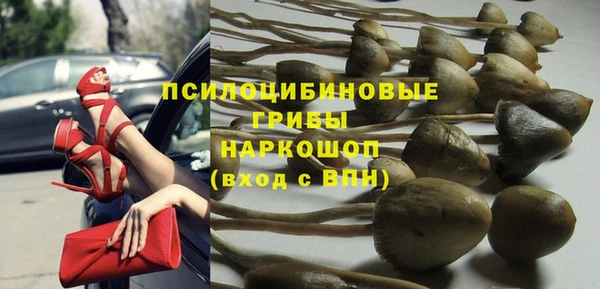 дживик Горно-Алтайск