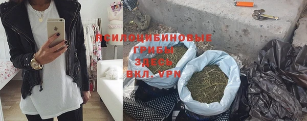 сатива Горнозаводск
